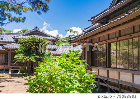 (静岡県)沼津御用邸記念公園 西附属邸のアジサイ (静岡県)沼津御用邸記念公園 西附属邸のアジサイ 79083883