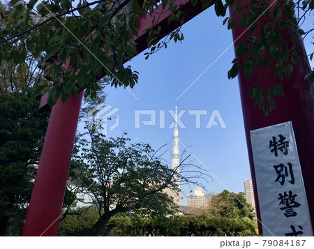 鳥居をくぐると東京スカイツリー 79084187