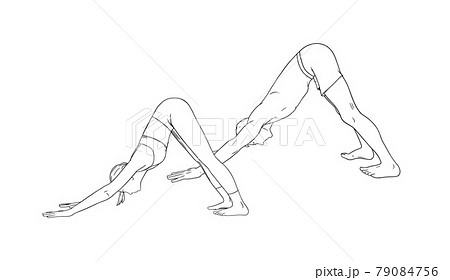 Yoga Downward Facing Dog Pose or Svanasana. Woman and man practicing yoga. Sketch vector illustration Yoga Downward Facing Dog Pose or Svanasana. Woman and man practicing yoga. Sketch vector illustration 79084756