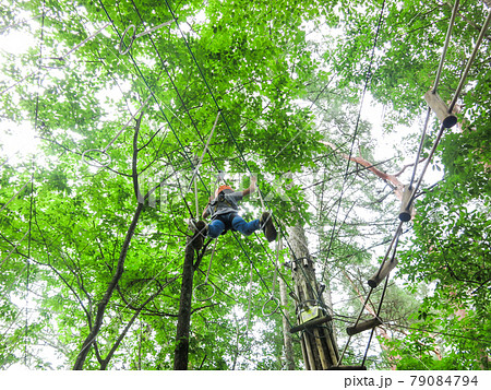 木の上のアスレチック 79084794