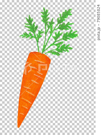 油畫棒插畫-胡蘿蔔 79085824