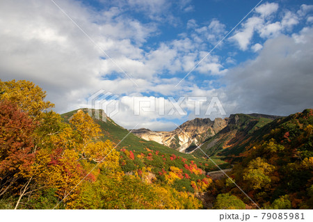 紅葉の山頂 79085981