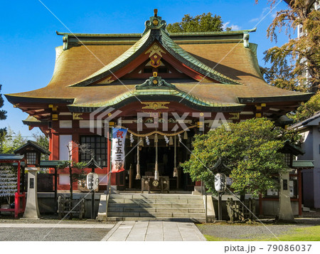 晴れた日の熊野神社(横浜市神奈川区) 79086037