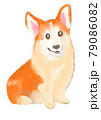 おすわりコーギー 79086082
