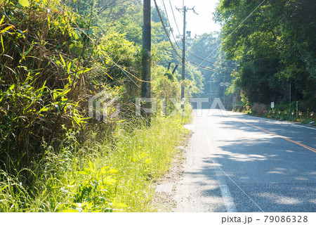 国道370号線 79086328