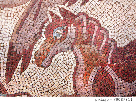 Ancient natural stone tile mosaics, Madaba, Jordan 79087311