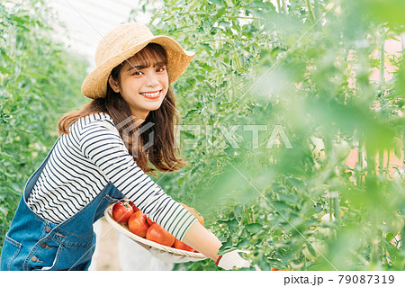 トマトを収穫する女性 79087319