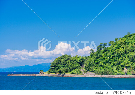 （静岡県）沼津御用邸から眺める、牛臥山公園 79087515