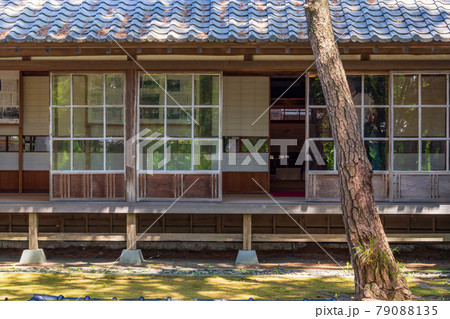 （静岡県）沼津御用邸　邸内の松林（防風林） 79088135