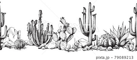 Seamless Border With Succulents And Cactuses のイラスト素材