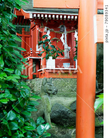 神社の小さな社と駒狐 神社の小さな社と駒狐 79089341