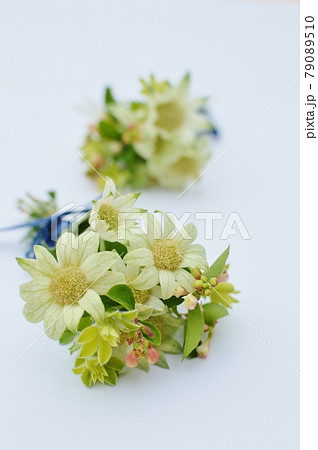 フランネルフラワーとシンフォリカルポスの小さな花束 79089510