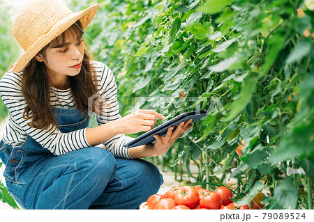 スマートアグリ（スマート農業） 79089524