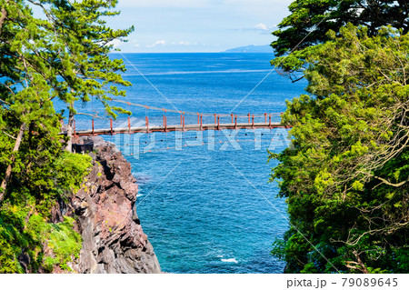 静岡県伊東市 城ヶ崎海岸の門脇吊橋 静岡県伊東市 城ヶ崎海岸の門脇吊橋 79089645