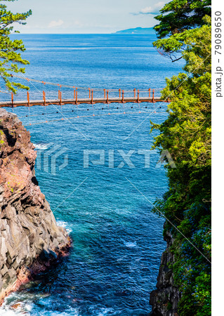 静岡県伊東市 城ヶ崎海岸の門脇吊橋 静岡県伊東市 城ヶ崎海岸の門脇吊橋 79089650