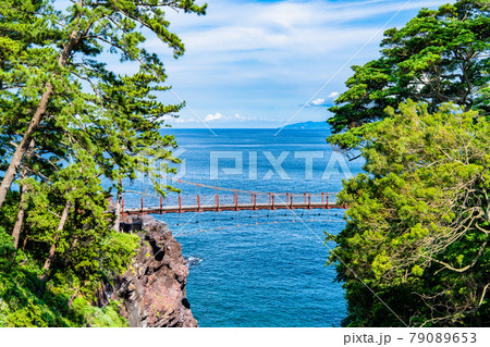 静岡県伊東市 城ヶ崎海岸の門脇吊橋 静岡県伊東市 城ヶ崎海岸の門脇吊橋 79089653
