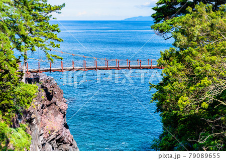 静岡県伊東市 城ヶ崎海岸の門脇吊橋 静岡県伊東市 城ヶ崎海岸の門脇吊橋 79089655