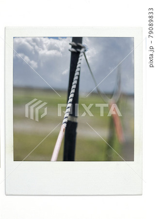 ロープ　ポラ風 79089833