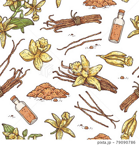Seamless pattern with Vanilla plant parts, flowers and oil vector illustration. 79090786