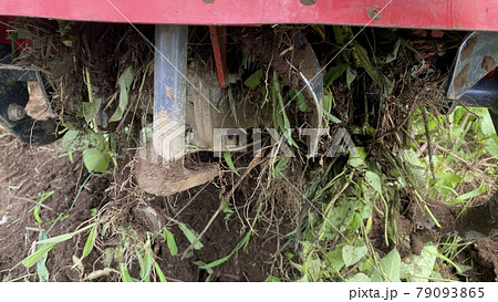 耕耘機のロータリーに絡みつく雑草 79093865