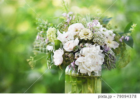 Delicate blooming festive white peonies, blossoming garden flowers background, bouquet floral card, selective focus 79094378