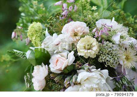 Delicate blooming festive white peonies, blossoming garden flowers background, bouquet floral card, selective focus 79094379
