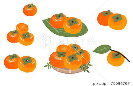柿のイラストセット 秋の味覚 果物のイラスト素材