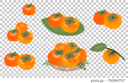 柿子插圖集秋味水果 79094707