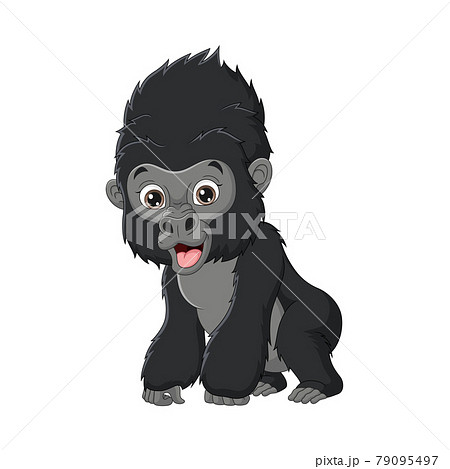 Cute Baby Gorilla Cartoon Isolated On White のイラスト素材