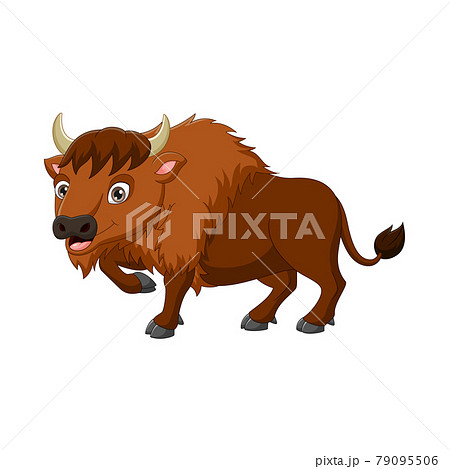 Cartoon Bison Isolated On White Backgroundのイラスト素材