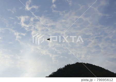 6月中旬早朝の岐阜市内東南の空と山の端 6月中旬早朝の岐阜市内東南の空と山の端 79095612