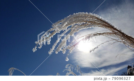 凍える朝 凍える朝 79096327