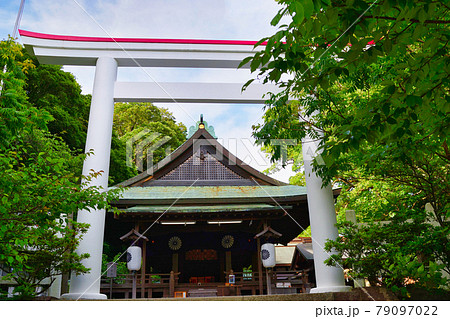 鎌倉宮(神奈川県鎌倉市) 鎌倉宮(神奈川県鎌倉市) 79097022