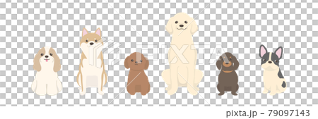 Vector illustration of dogs side by side 79097143