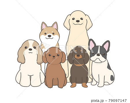 犬のベクターイラストレーション 集合 カメラ目線のイラスト素材