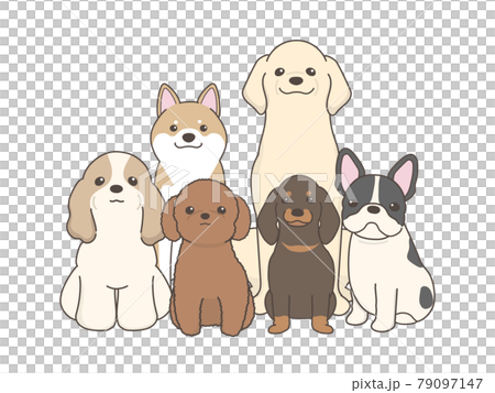 犬のイラスト集 犬のベクターイラストレーション 集合 カメラ目線のイラスト素材
