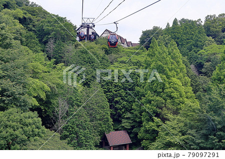神戸布引ハーブ園 79097291