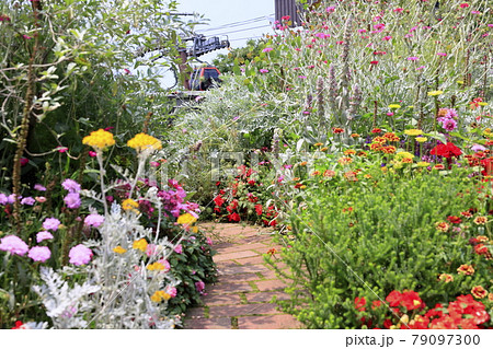 神戸布引ハーブ園 神戸布引ハーブ園 79097300