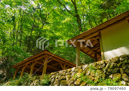 新緑のロックガーデン　休憩所 79097460