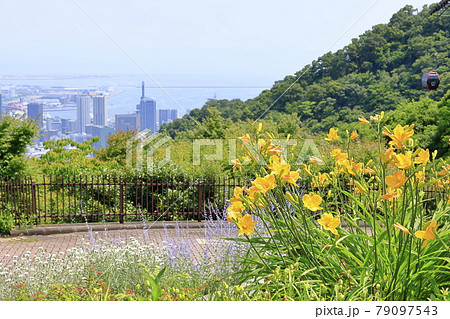 神戸布引ハーブ園の写真素材