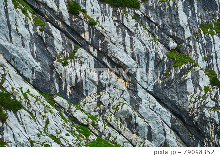 Light-coloured, parallel stratified limestone banks with secondary precipitates of black manganese oxide at the layer joints of the rock 79098352