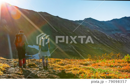 Selective focus two hikers in the mountains in the sun 79098357