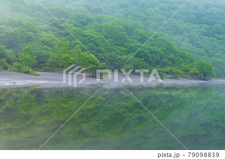 赤城山の小沼に映る新緑の林 79098839