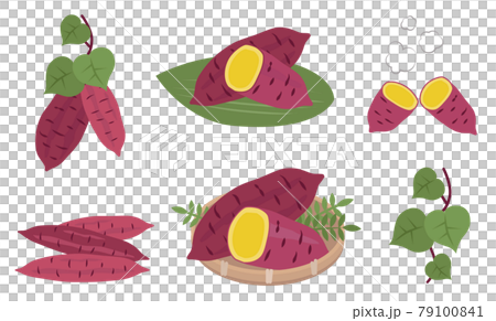 さつまいものイラストセット　秋の味覚　野菜 79100841