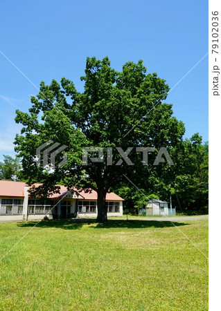 新得町立新内小学校(廃校) 新得町立新内小学校(廃校) 79102036