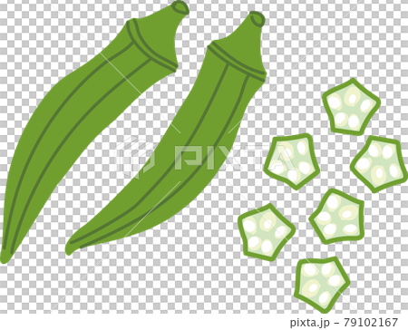 野菜のオクラと輪切りのイラストのイラスト素材