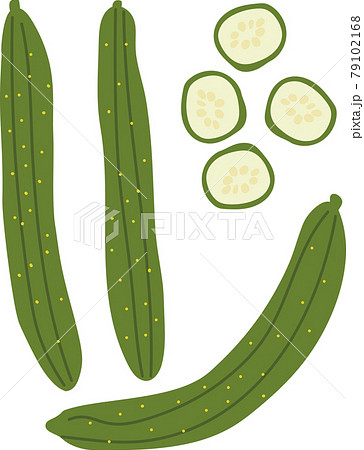 野菜きゅうりと輪切りのイラストのイラスト素材