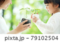 植物を見る親子　環境保護イメージ 79102504