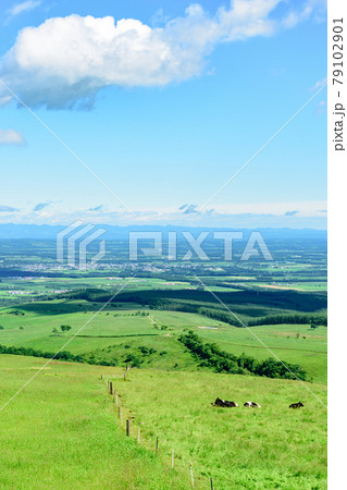 青空のナイタイ高原牧場 79102901