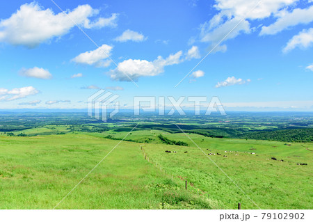 青空のナイタイ高原牧場 青空のナイタイ高原牧場 79102902